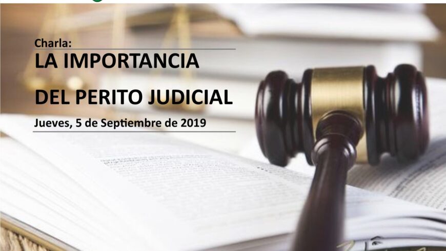 LA IMPORTANCIA DEL PERITO JUDICIAL