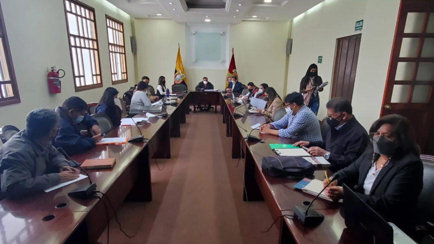 Incidencia del sector en la política pública